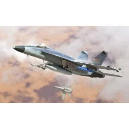 F/A-18E Super Hornet VFC-12, 1/48 - Hobby Boss 85818