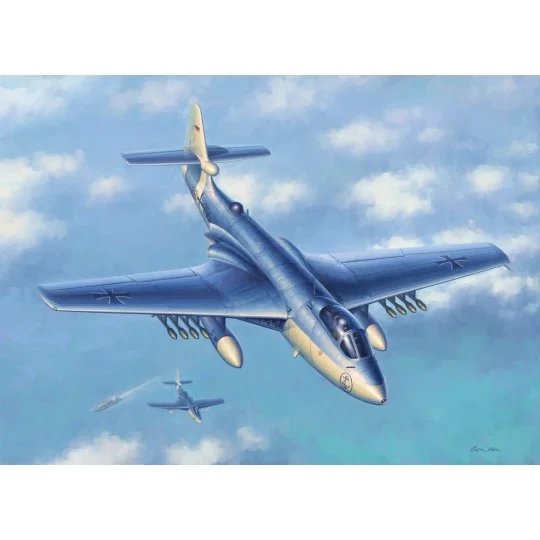 Seahawk MK.100/101 - Hobby Boss 87252
