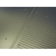 IJN Aircraft Carrier Deck WWII, 1/48 - Eduard Plastic Kits 8803