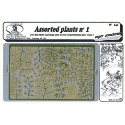 Assorted plants n.1 - Royal Model RM041