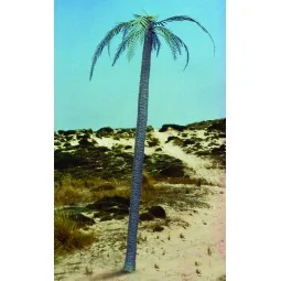 Palm tree - Royal Model RM056