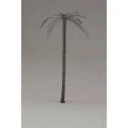 Palm - Royal Model RM647