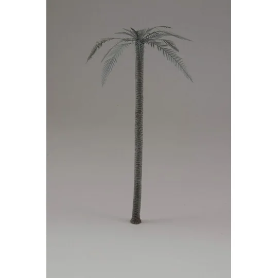 Palm - Royal Model RM649