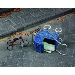 Pushchair & tricycle - Royal Model RM731