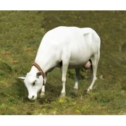 Cow standing - Royal Model RM747