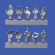 Assorted hands set No. 1, 1/16 - Royal Model RM962