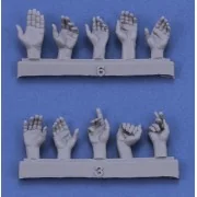 Assorted hands set No. 1 - Royal Model RM962