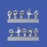 Assorted hands set No. 2 - Royal Model RM963