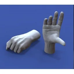 Assorted hands set No. 3, 1/16 - Royal Model RM964