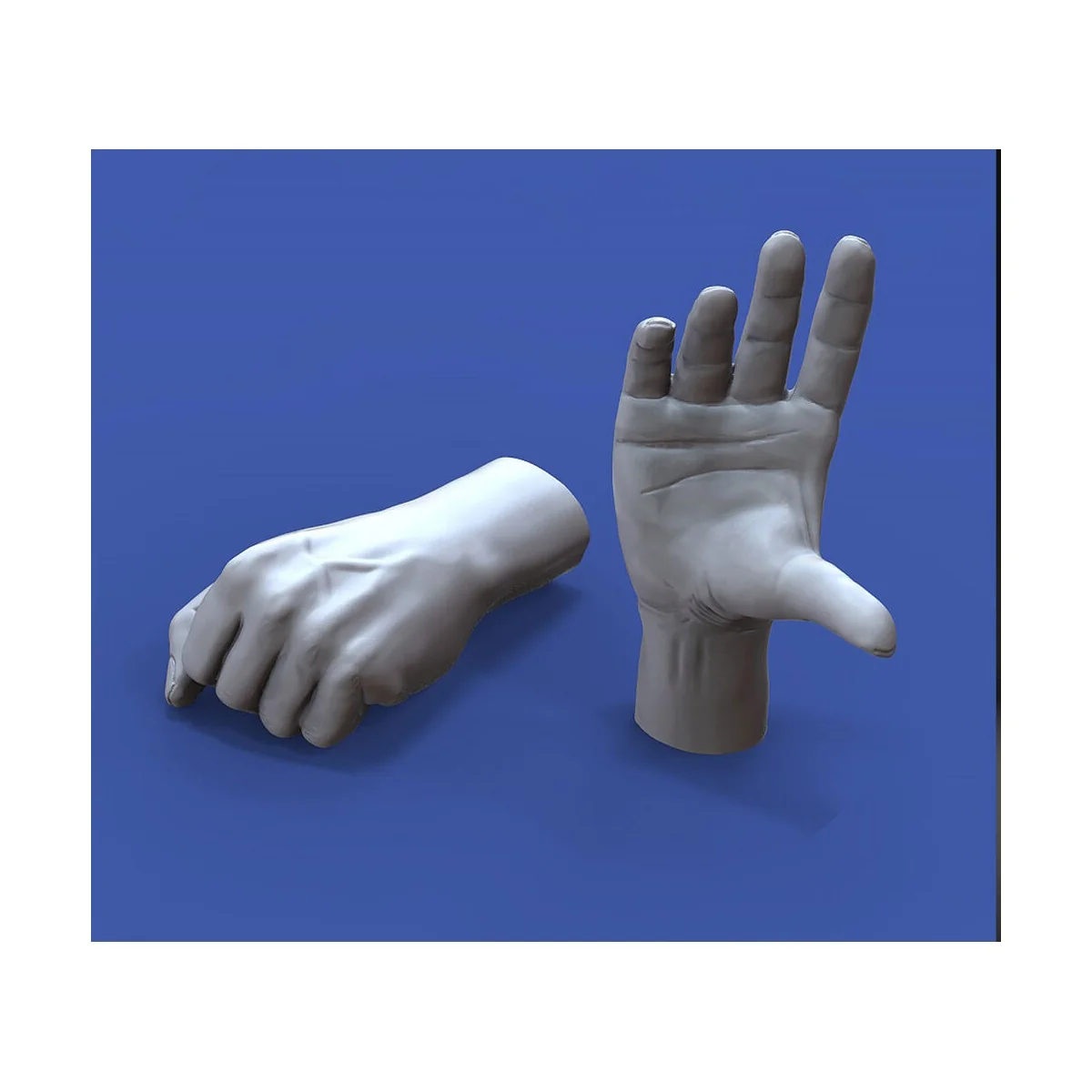 Assorted hands set No. 3, 1/16 - Royal Model RM964