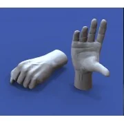 Assorted hands set No. 3, 1/16 - Royal Model RM964