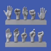 Assorted hands set No. 3, 1/16 - Royal Model RM964