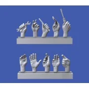 Assorted hands set No. 4, 1/16 - Royal Model RM965