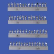 Assorted hands - Royal Model RM1001