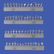 Assorted hands - Royal Model RM1001