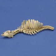 Cow skeleton n.1 3D printed, 1/35 - Royal Model RM1046