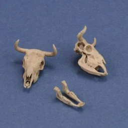 Cow skulls - Royal Model RM1051