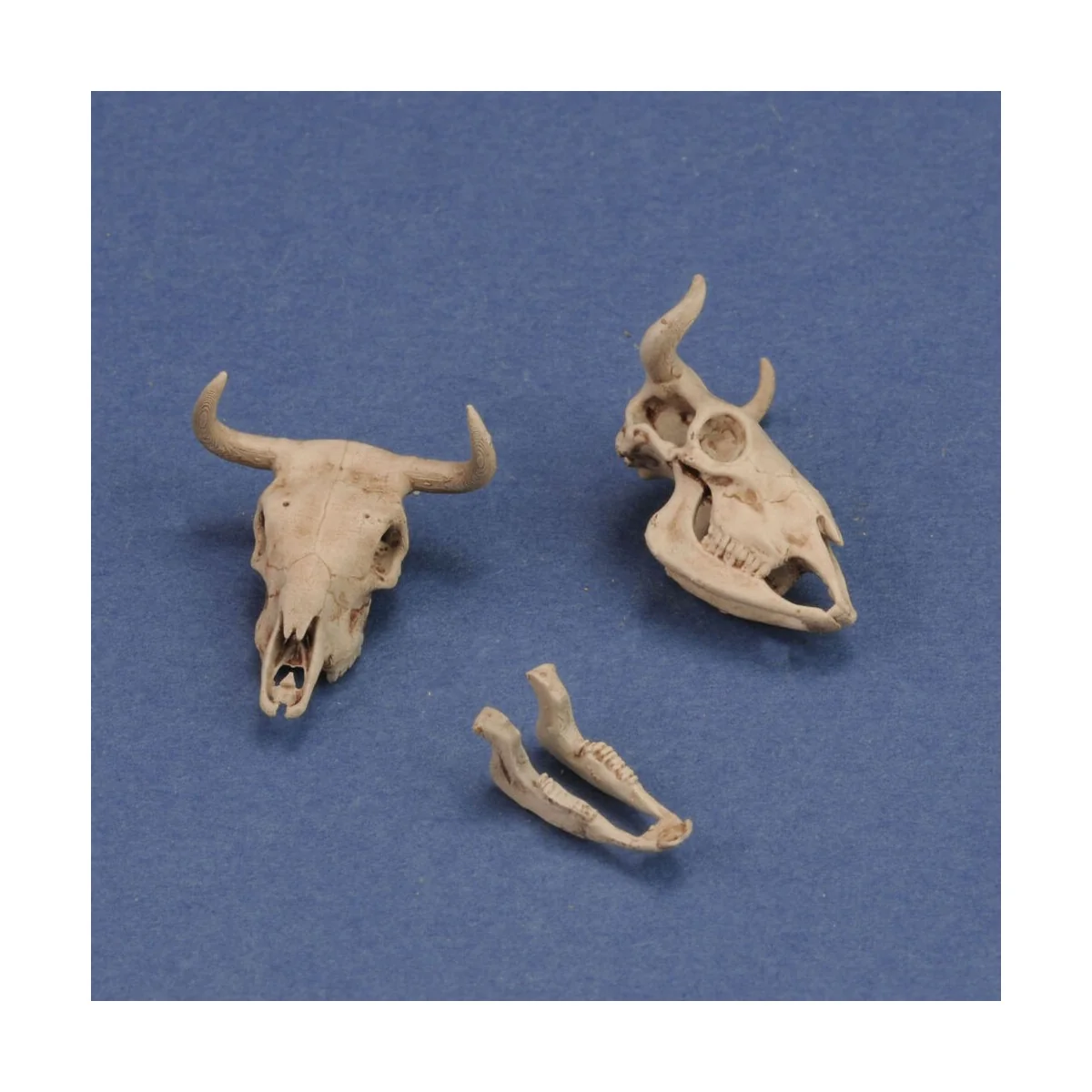 Cow skulls, 1/35 - Royal Model RM1051