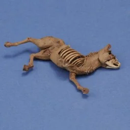 Donkey carcass - Royal Model RM1068