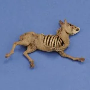 Donkey carcass, 1/35 - Royal Model RM1068