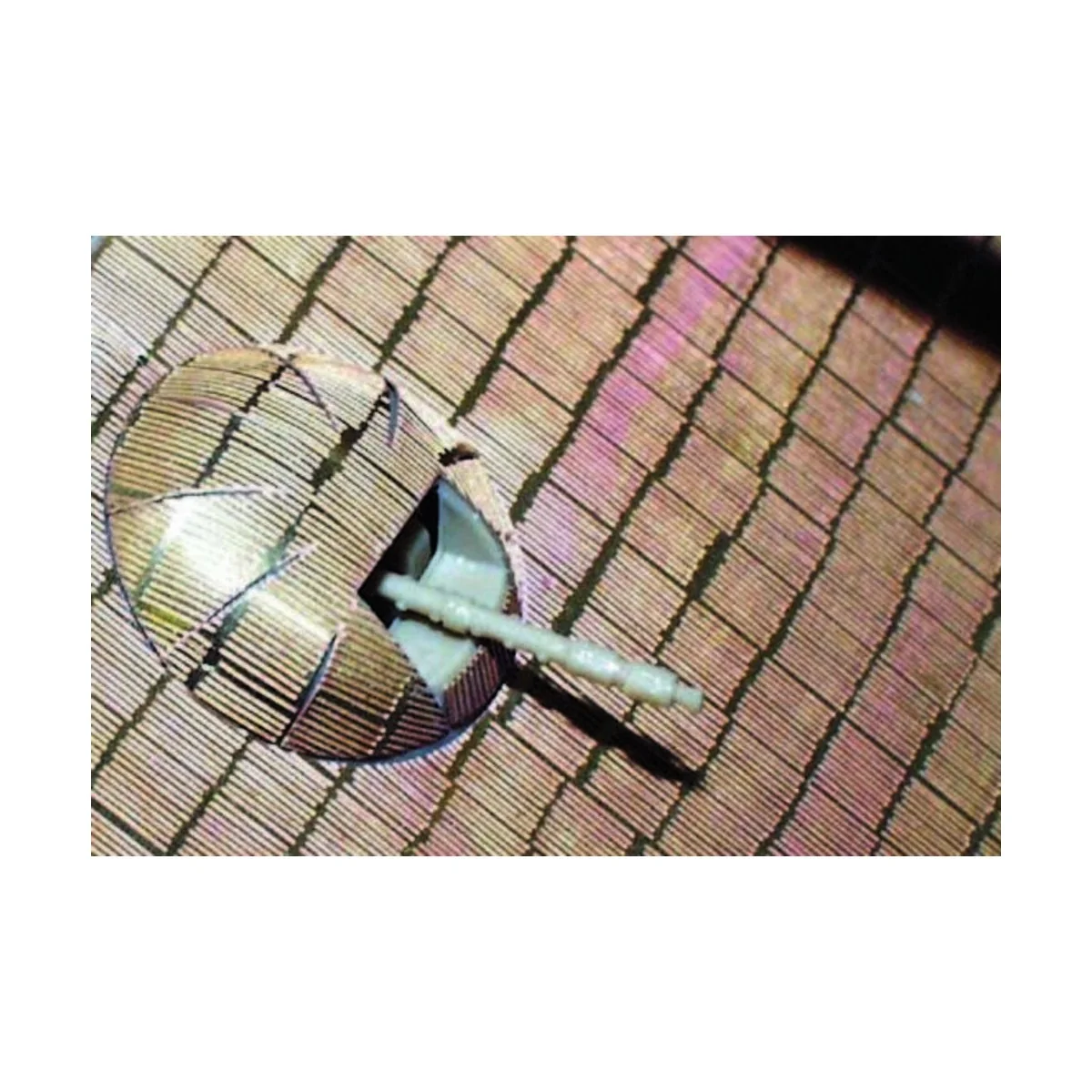 Zimmerit Panther Ausf. A für Tamiya Bausatz, 1/35 - Eduard Accessor... Zimmerit Panther Ausf. A für Tamiya Bausatz, 1/35 - Eduard Accessor...