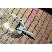 Zimmerit Panther Ausf. A für Tamiya Bausatz - Eduard Accessories 35425