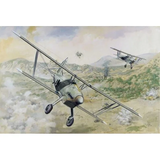 Arado Ar 68E, 1/48 - Roden 427