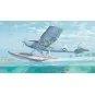 L-19/O-1 Bird Dog Floatplane, 1/32 - Roden 629