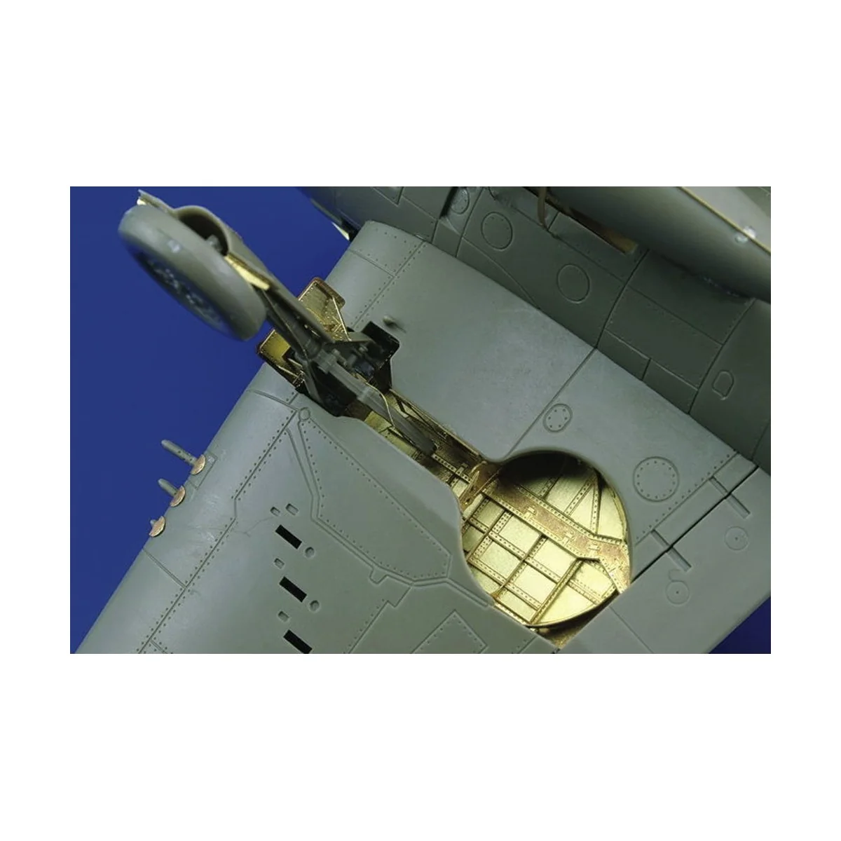 F6F Hellcat undercarriage für Eduard Bausatz - Eduard Accessories 4...