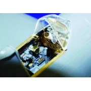 P-47D Razorback für Tamiya Bausatz - Eduard Accessories 49226