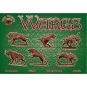Wargs, 1/72 - ALLIANCE ALL72019