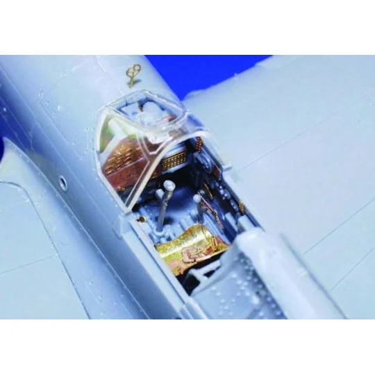 P-40E Warhawk für Hasegawa Bausatz, 1/48 - Eduard Accessories 49314