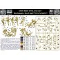 Desert Battle Series. Skull Clan-New Amazons, 1/35 - Master Box Ltd...
