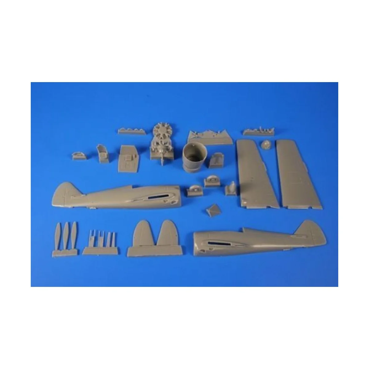 FFVS J-22A Swedish WW2 main fighter airc, 1/48 - Planet Models 129-...