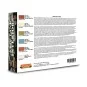 German and Italian interior tanks colors - Lifecolor CS22