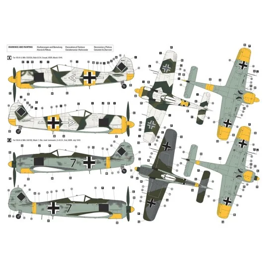 Focke-Wulf Fw 190 A-6 Eastern Front, 1/32 - Hobby 2000 H2K32018