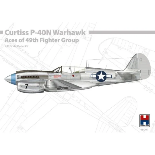 P-40N Warhawk Aces of The 49th Fighter Group, 1/48 - Hobby 2000 48001