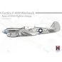 P-40N Warhawk Aces of The 49th Fighter Group, 1/48 - Hobby 2000 48001