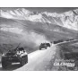 Afghan Motorcade (1979-1989)(URAL-375D, URAL-375A, ATZ-5-375, BTR60...