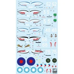 Curtiss P-40C (Hawk 81-A2) Fighter -AVG Flying Tigers, 1/48 - Bronc... 2