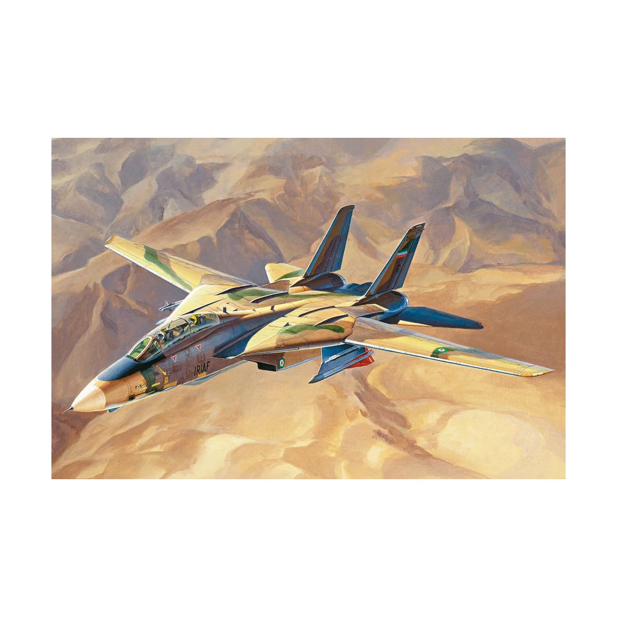 Persian Cat F-14A TomCat-IRIAF, 1/48 - Hobby Boss 81771
