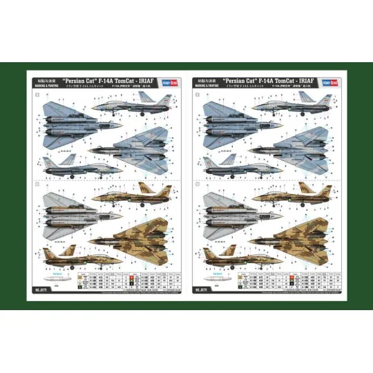 Persian Cat F-14A TomCat-IRIAF, 1/48 - Hobby Boss 81771