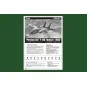 Persian Cat F-14A TomCat-IRIAF, 1/48 - Hobby Boss 81771