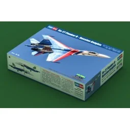 Su-27 Flanker B - Russian Knights Aerobatic Team, 1/48 - Hobby Boss... 2