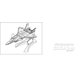 Chinese J-20 Mighty Dragon - Hobby Boss 81902 2