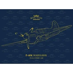 P-40K Warhawk DUAL COMBO, 1/48 - Eduard Plastic Kits R0024