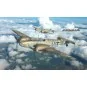 Bf 110D EDUARD-WEEKEND, 1/48 - Eduard Plastic Kits 8409