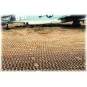 PSP Display EDUARD, 1/48 - Eduard Plastic Kits 8801