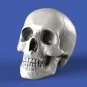 Skulls, 1/35 - Royal Model RM853