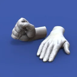 Assorted hands set No. 1, 1/16 - Royal Model RM962